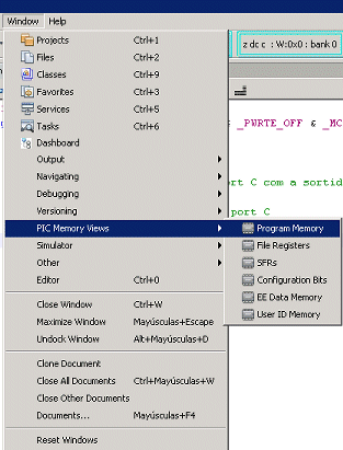 View Program Memory